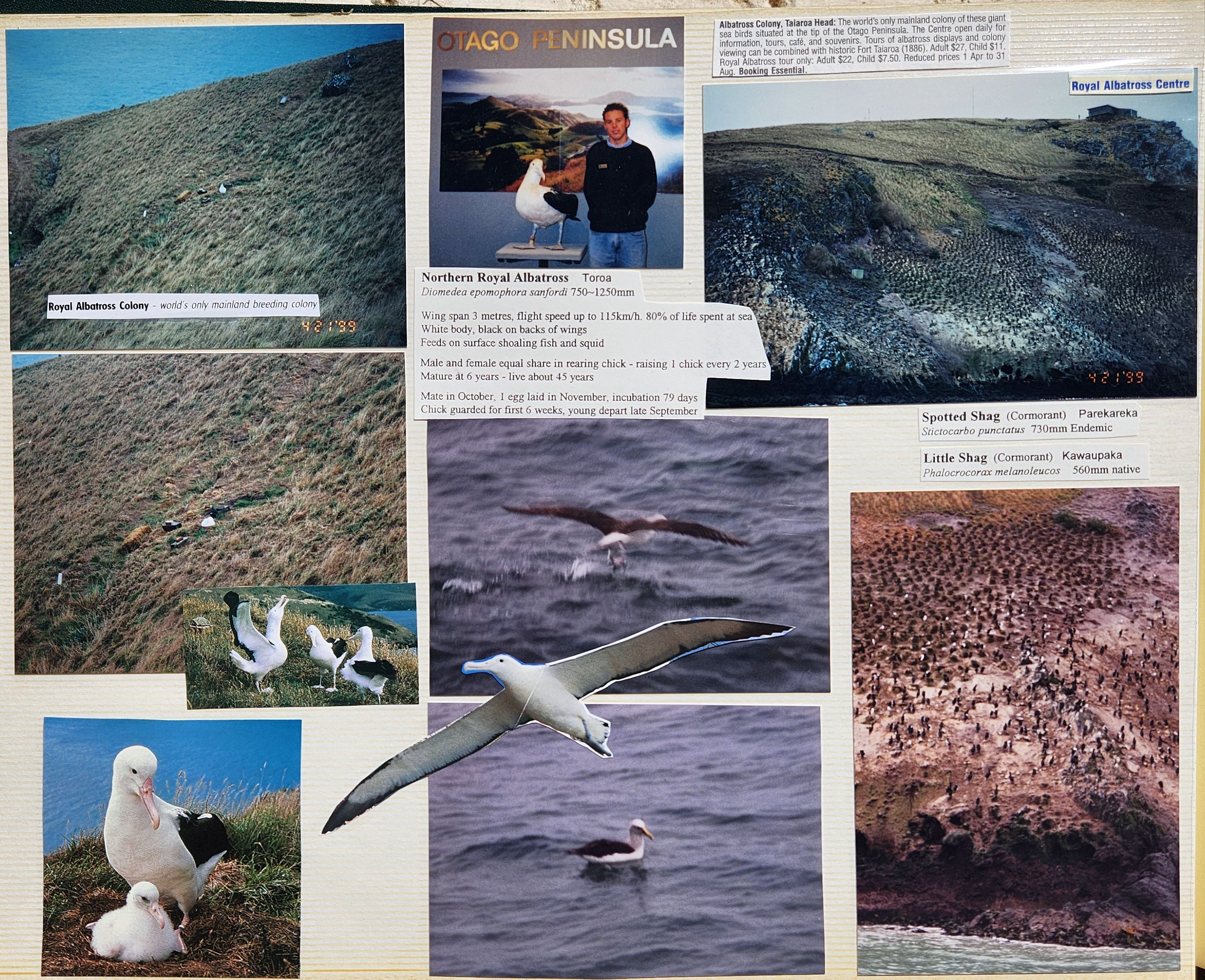 1999 Suzanna Travels to New Zealand