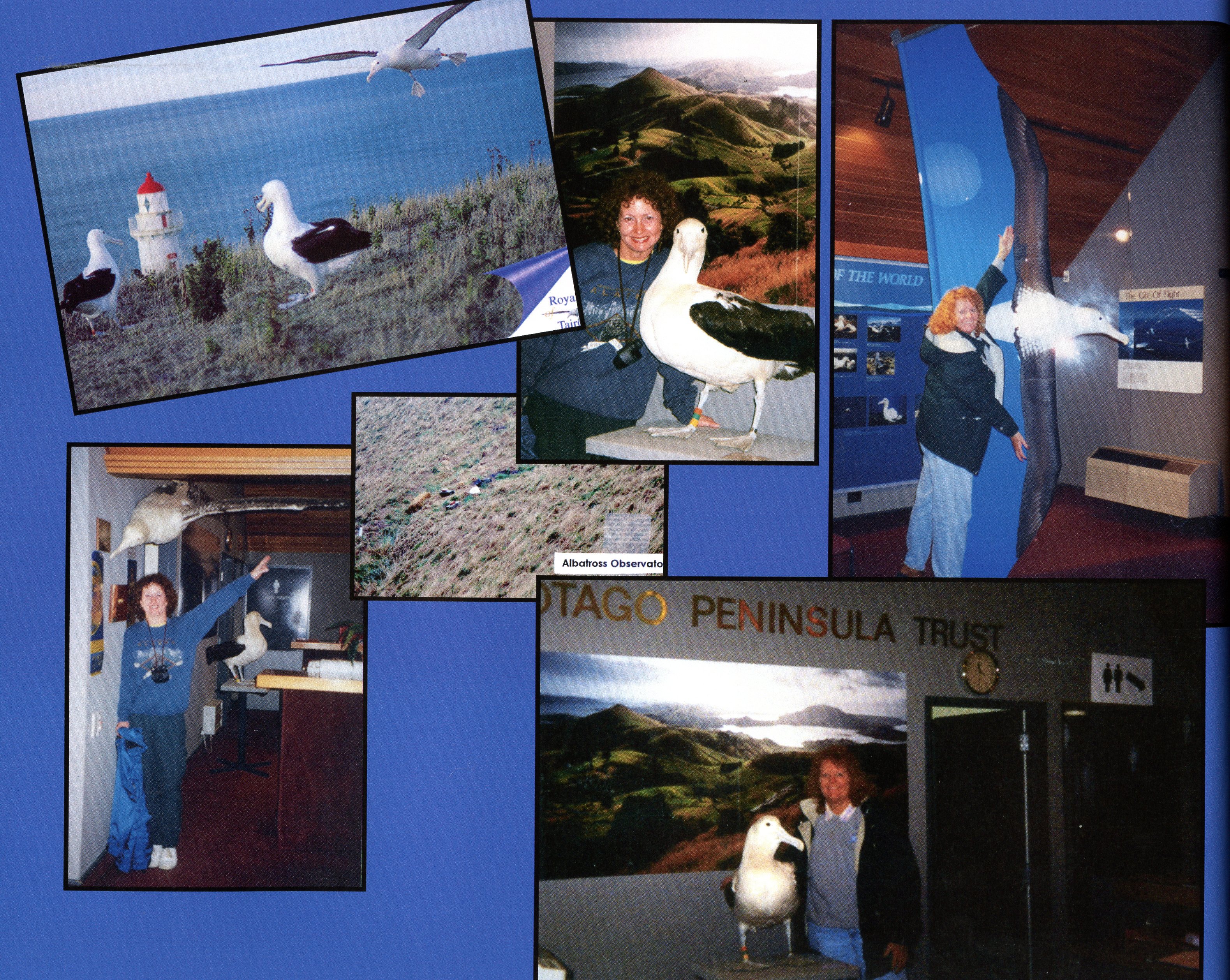 1999 Suzanna Travels to New Zealand