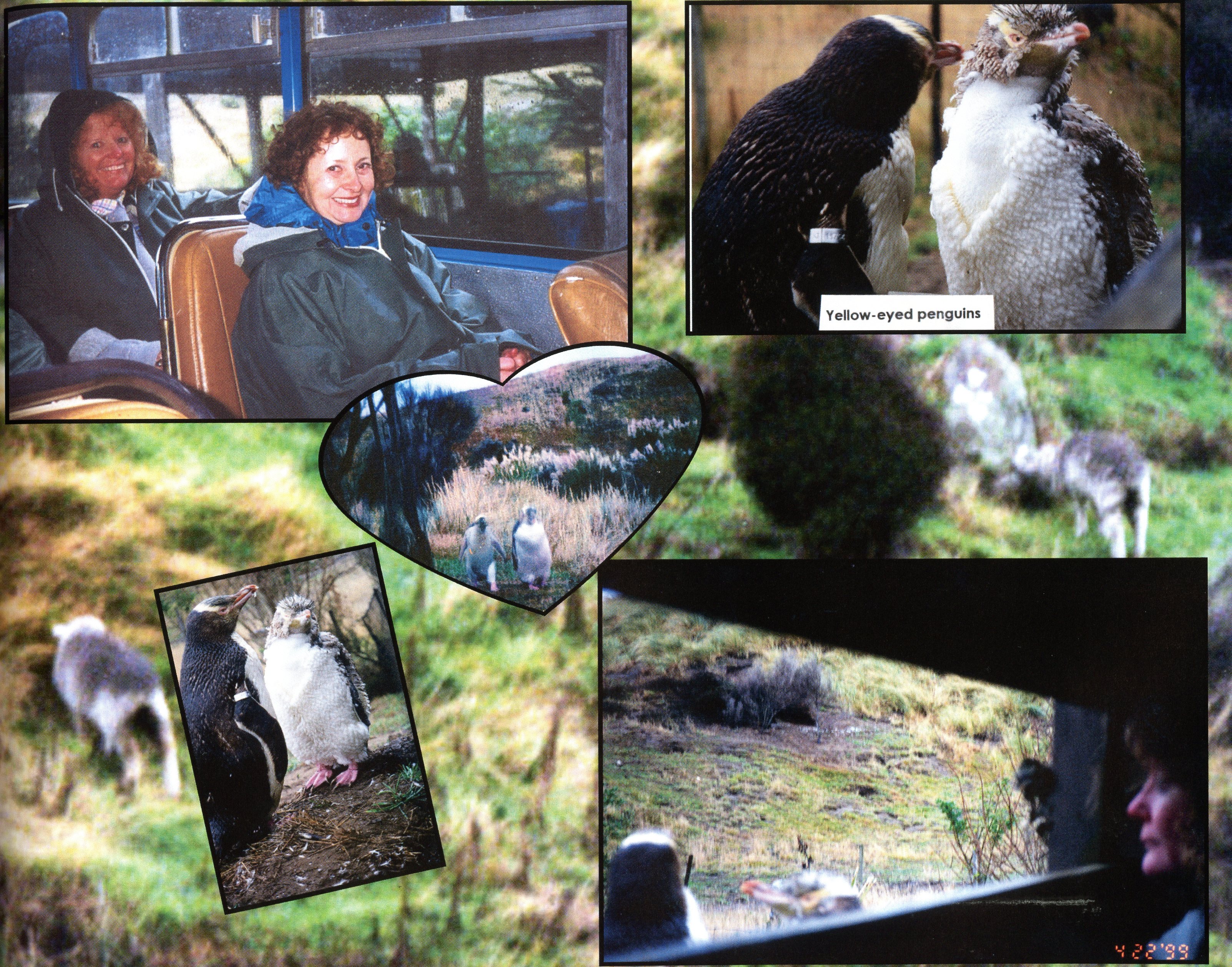 1999 Suzanna Travels to New Zealand