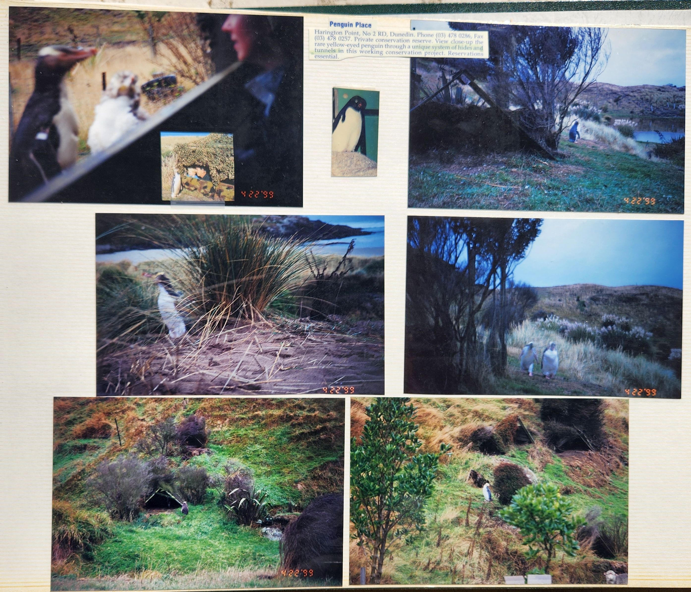 1999 Suzanna Travels to New Zealand