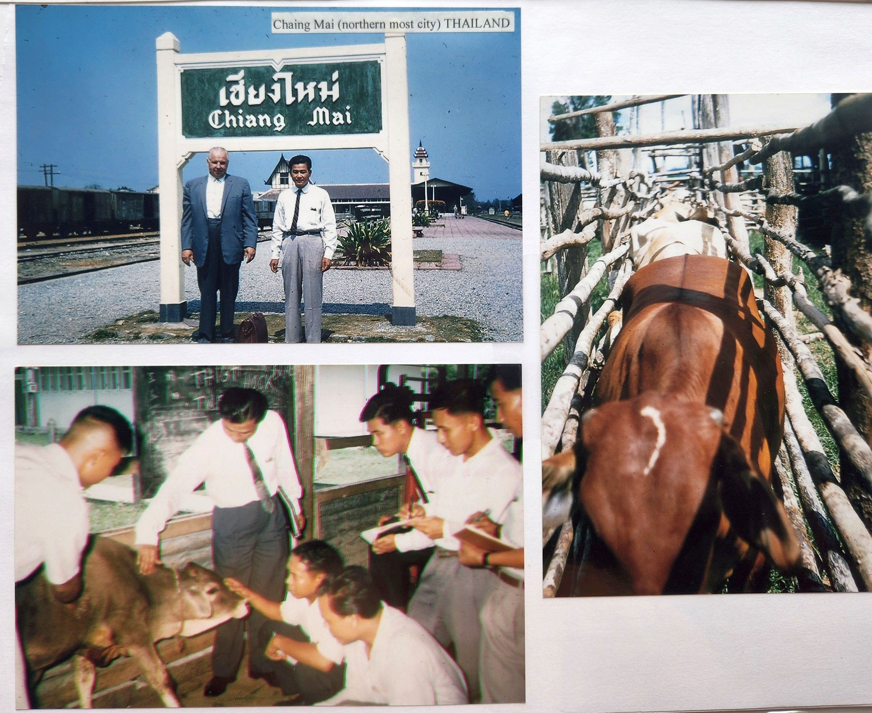 Chris and Lydia Travel Pictures