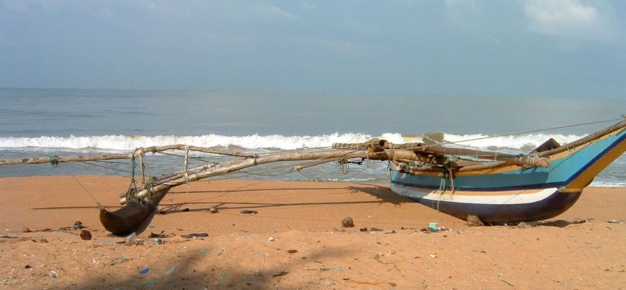 Suzanna Travels to Sri Lanka