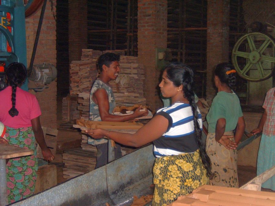 Suzanna Travels to Sri Lanka