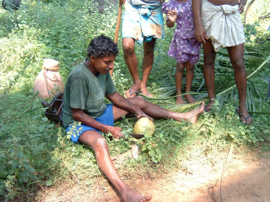 Suzanna Travels to Sri Lanka