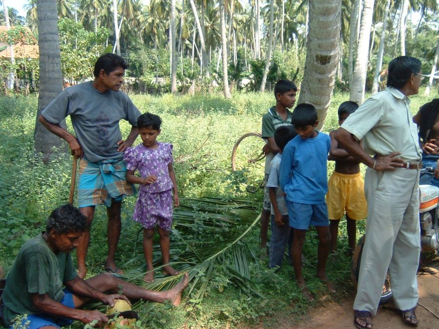 Suzanna Travels to Sri Lanka