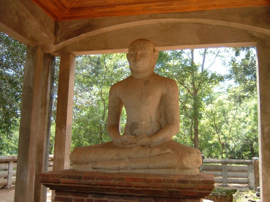 Suzanna Travels to Sri Lanka