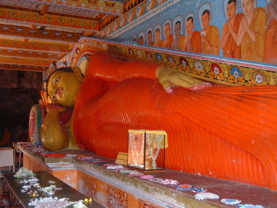 Suzanna Travels to Sri Lanka