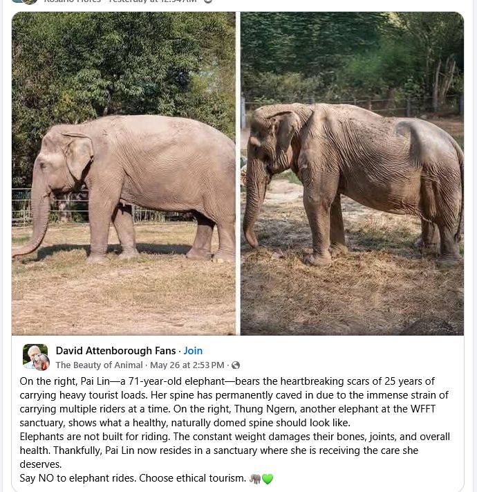 Suzanna Travels to Sri Lanka