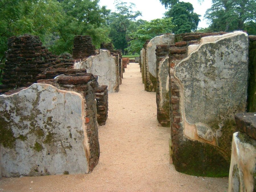 Suzanna Travels to Sri Lanka