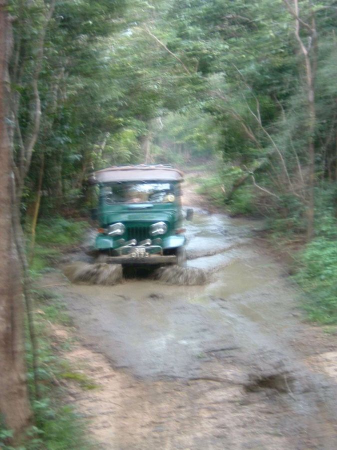 Suzanna Travels to Sri Lanka