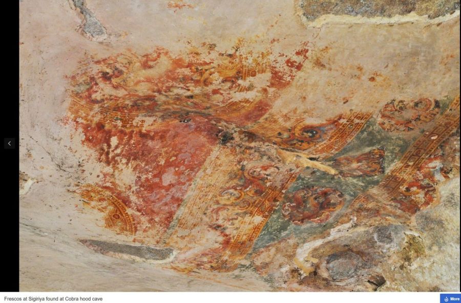 Suzanna Travels to Sri Lanka