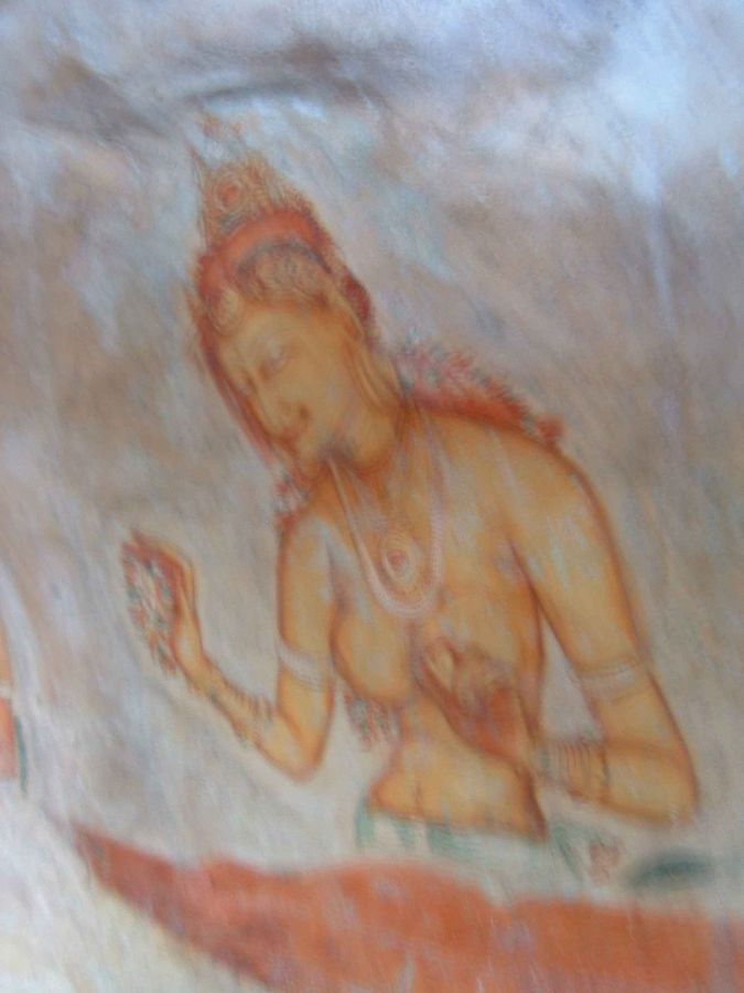 Suzanna Travels to Sri Lanka