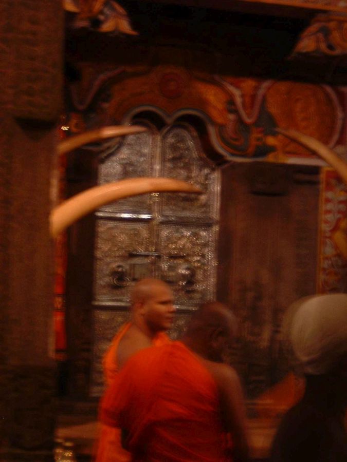 Suzanna Travels to Sri Lanka