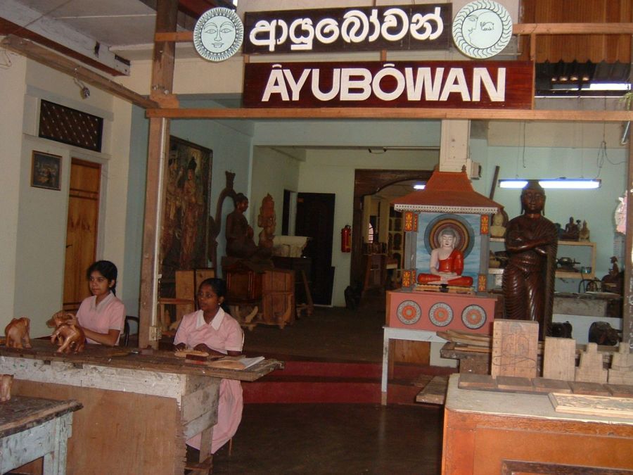 Suzanna Travels to Sri Lanka