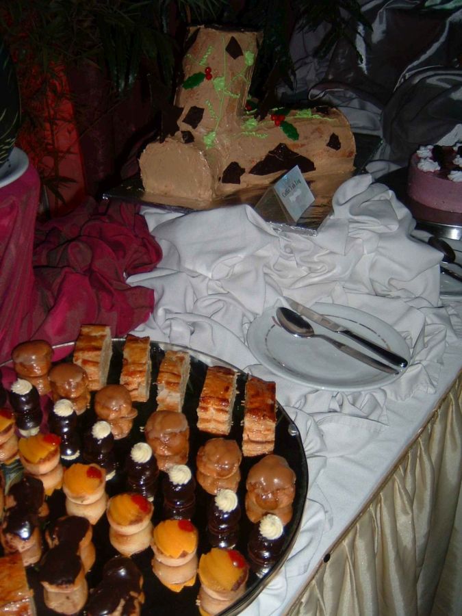 Suzanna Travels to Sri Lanka