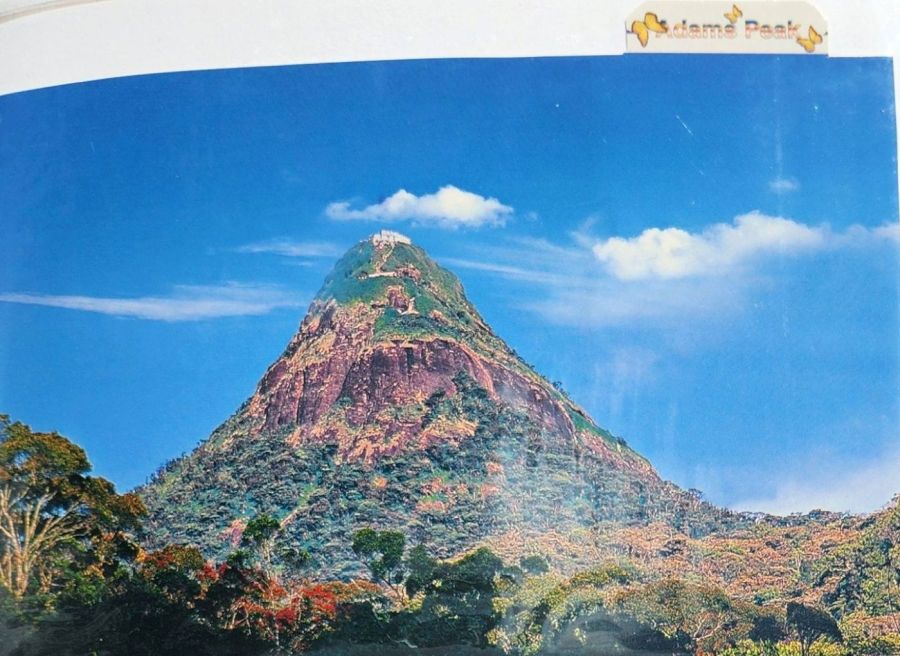 Suzanna Travels to Sri Lanka