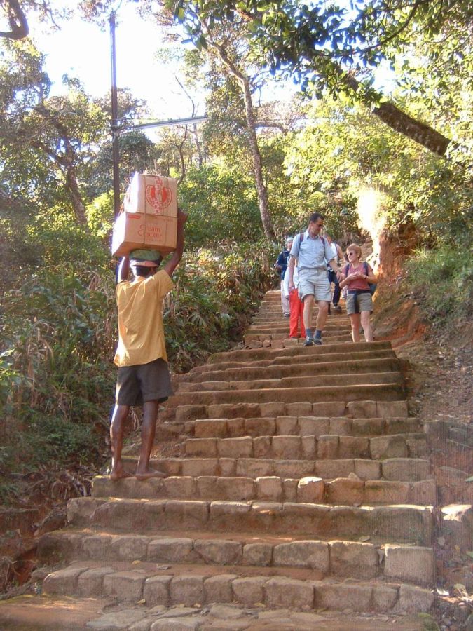 Suzanna Travels to Sri Lanka