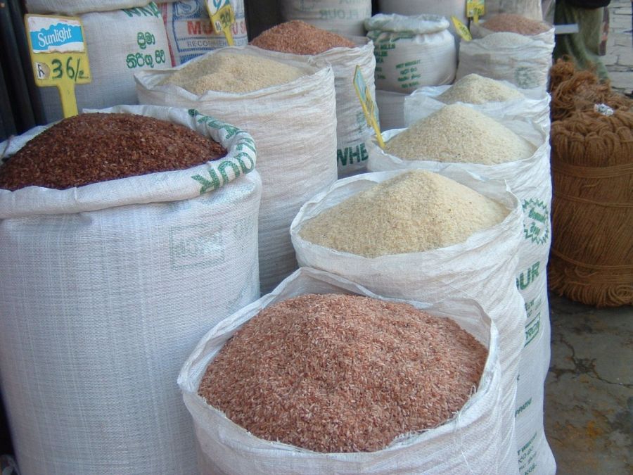 Suzanna Travels to Sri Lanka