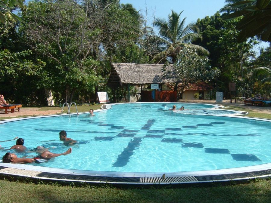 Suzanna Travels to Sri Lanka