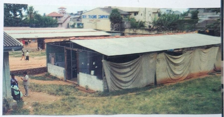 Suzanna Travels to Sri Lanka